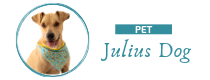 Pet Julius Dog