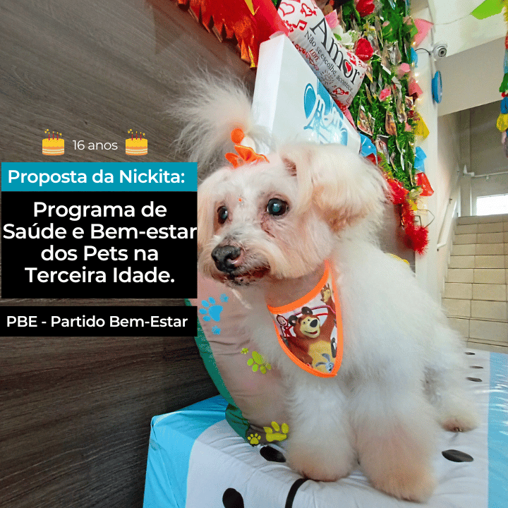 Saiba+ do Candidato Pet