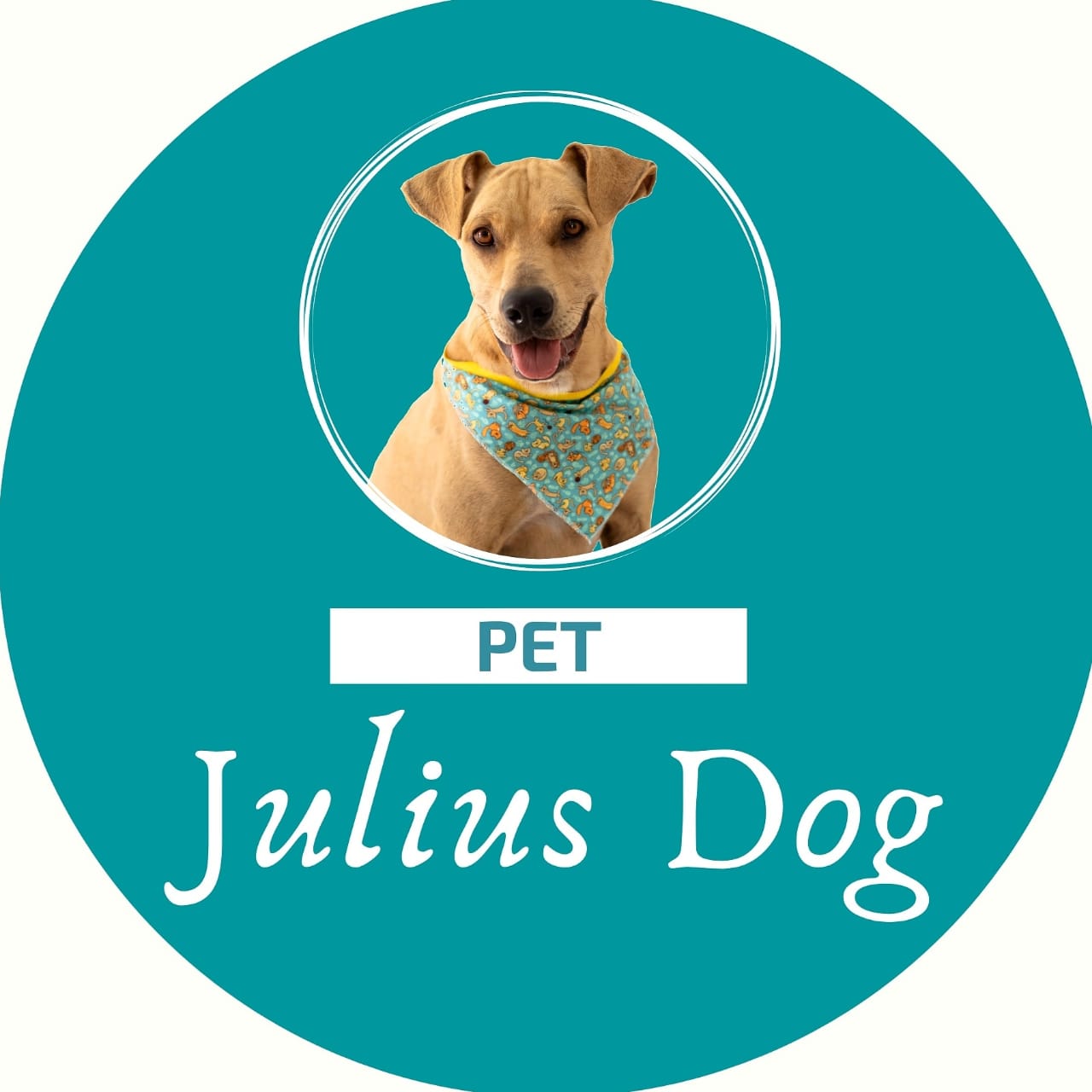 PetJuliusDog